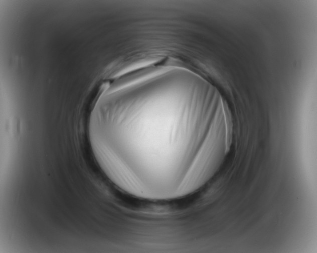X0000084000260200703091912