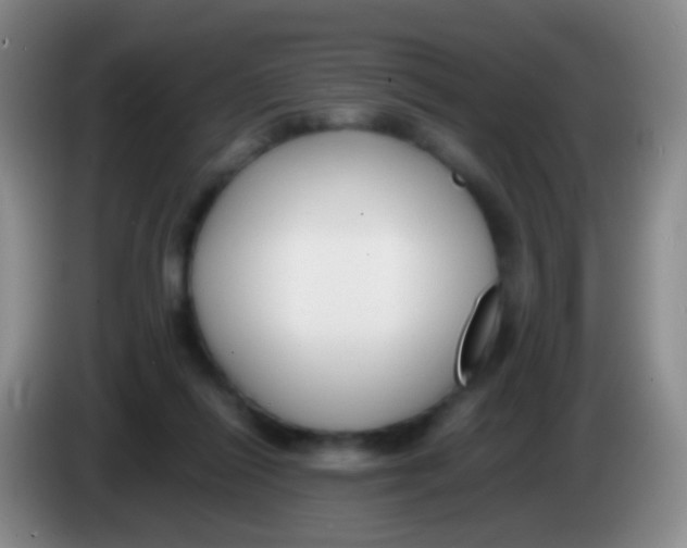 X0000084000262200703091912