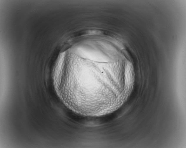 X0000084000263200703091912