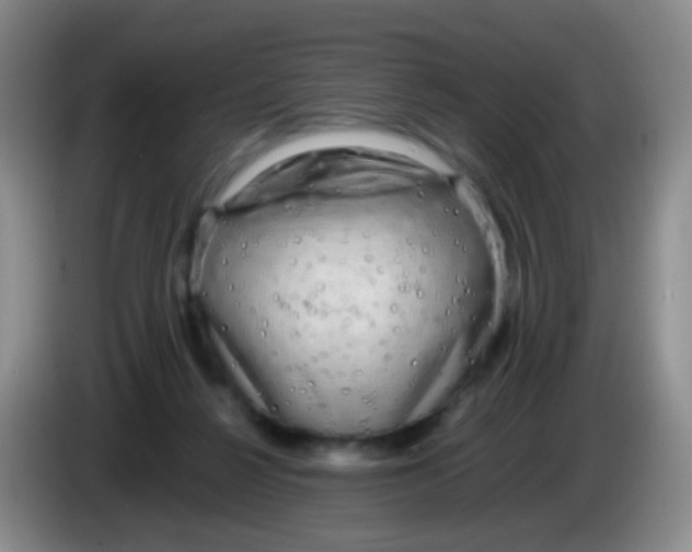 X0000084000264200703091912