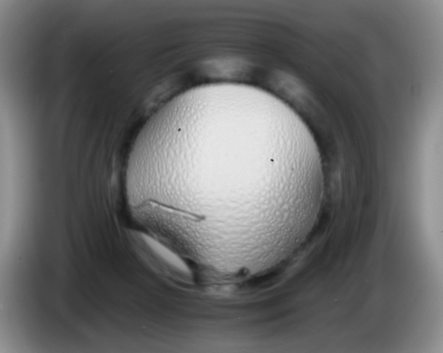 X0000084000265200703091912