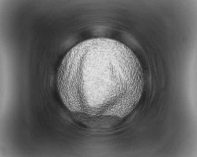 X0000084000266200703091912