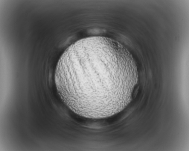 X0000084000267200703091912