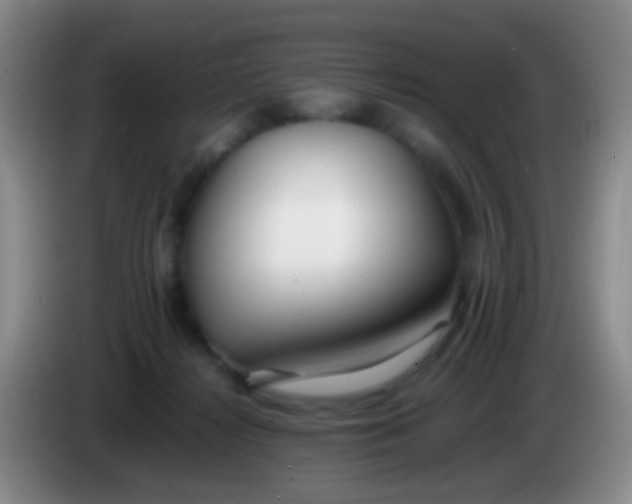 X0000084000268200703091912