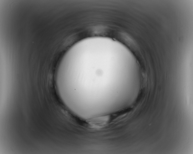 X0000084000269200703091912