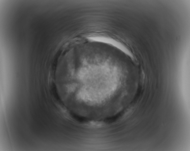 X0000084000272200703091912