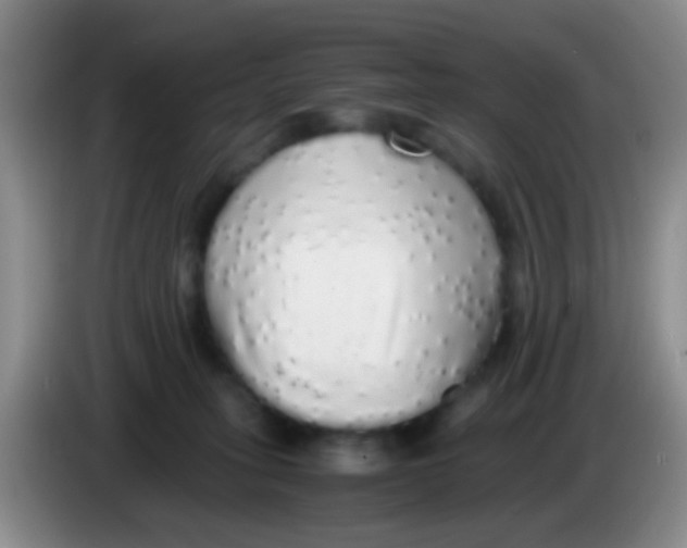 X0000084000275200703091912
