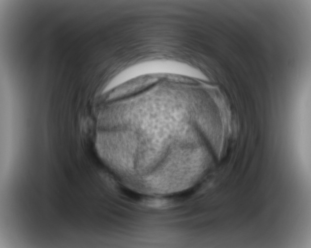 X0000084000276200703091912