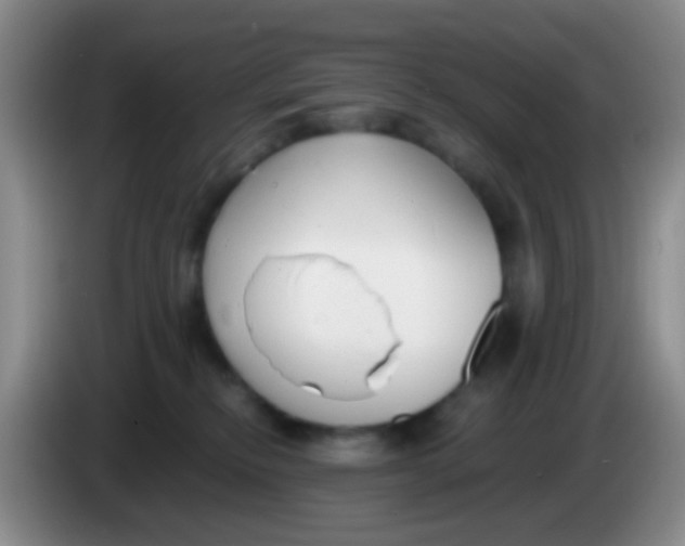 X0000084000278200703091912