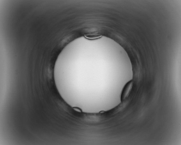 X0000084000282200703091912