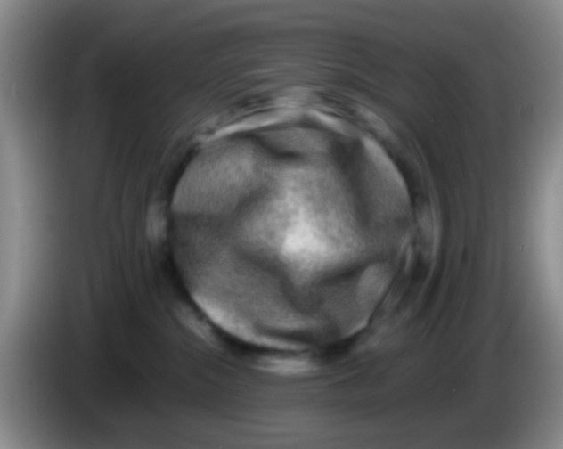 X0000084000284200703091912