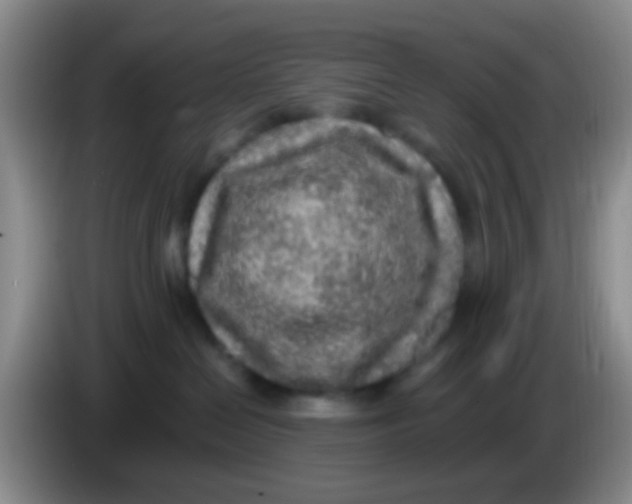 X0000084000286200703091912