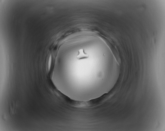 X0000084000288200703091912