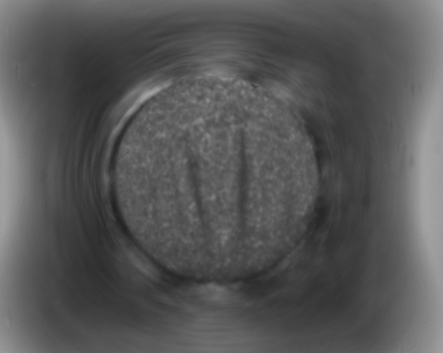 X0000084000290200703091912