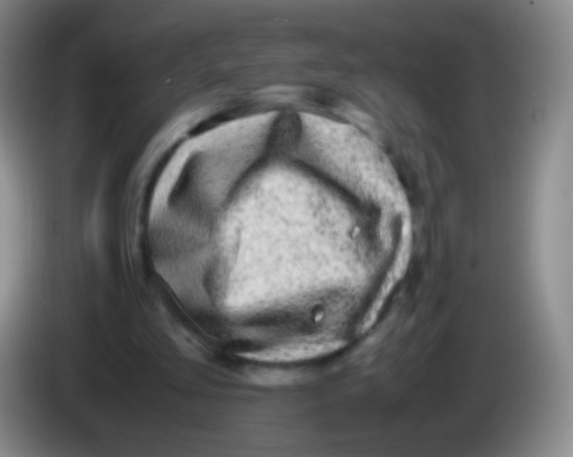 X0000084000293200703091912