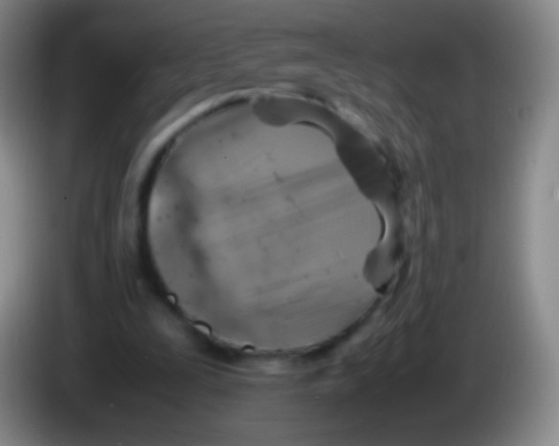 X0000084000295200703091912