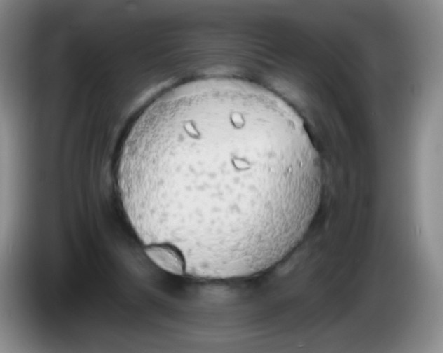 X0000084000298200703091911