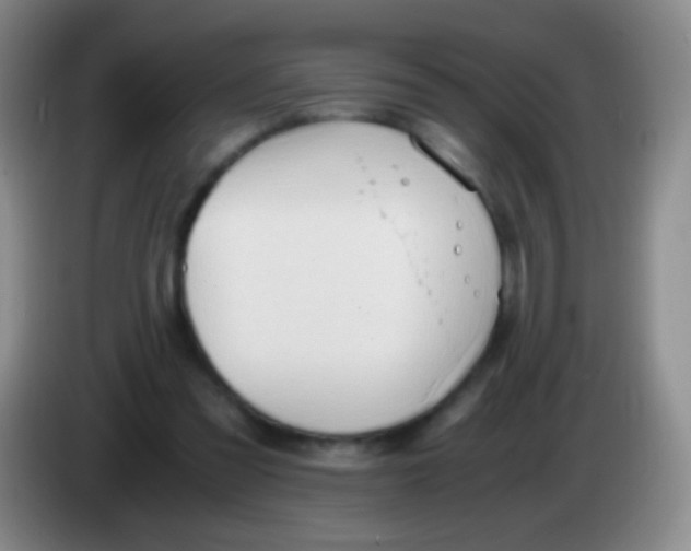 X0000084000301200703091911