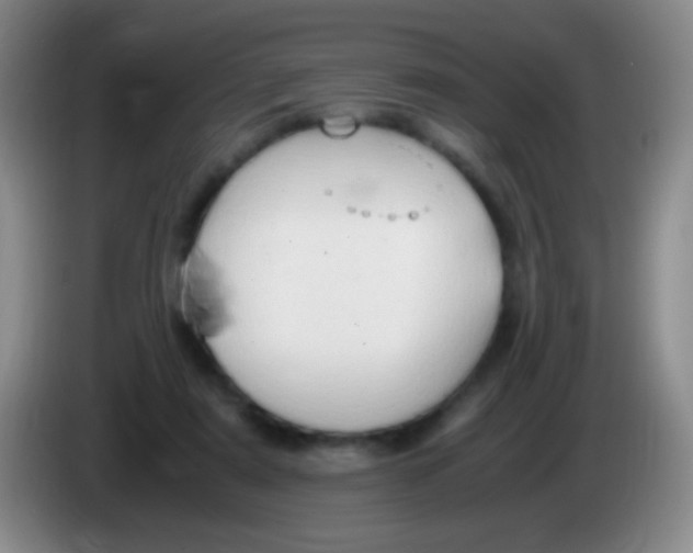 X0000084000307200703091911