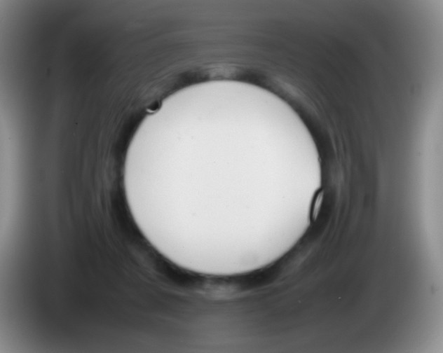 X0000084000311200703091911
