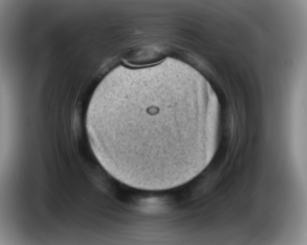 X0000084000312200703091911