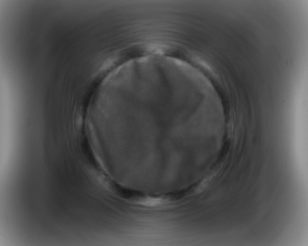 X0000084000314200703091911