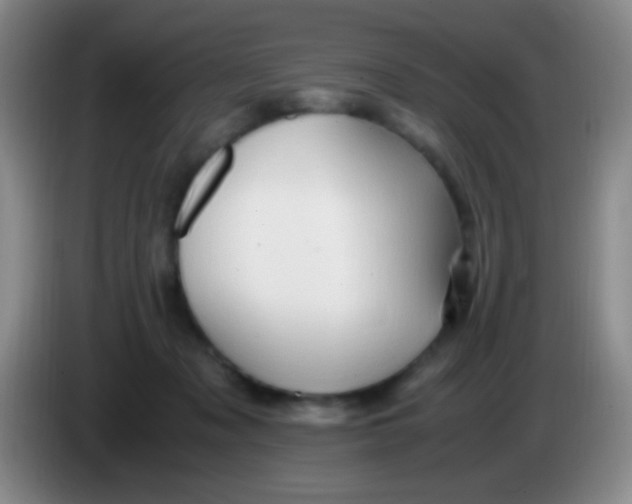 X0000084000317200703091911