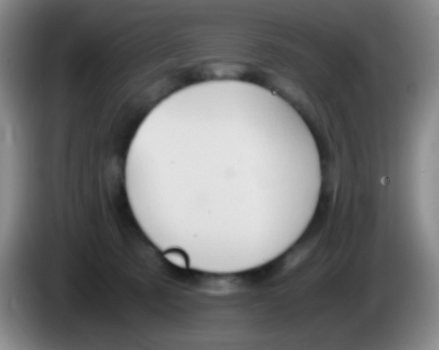 X0000084000321200703091911