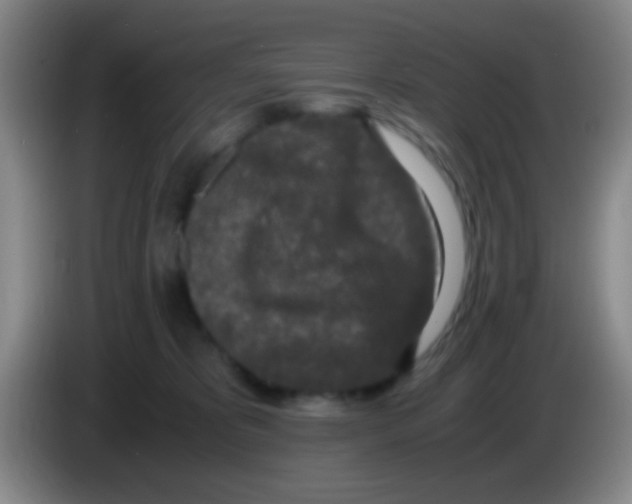 X0000084000325200703091911