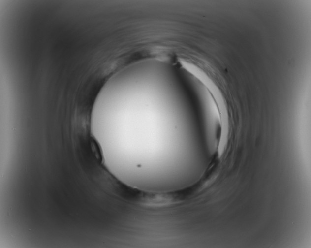 X0000084000329200703091911