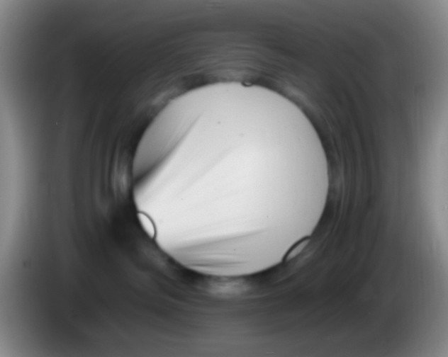 X0000084000334200703091911