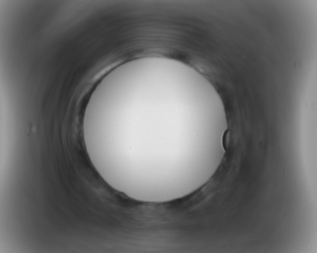 X0000084000338200703091910