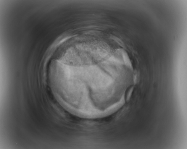 X0000084000339200703091910
