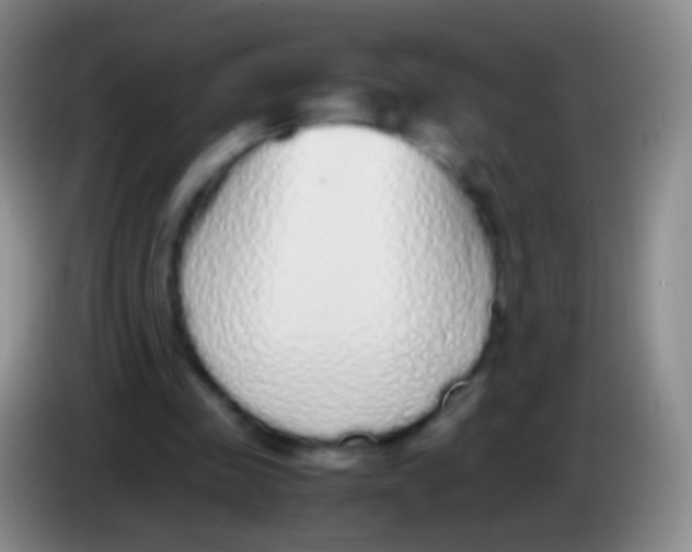 X0000084000341200703091910