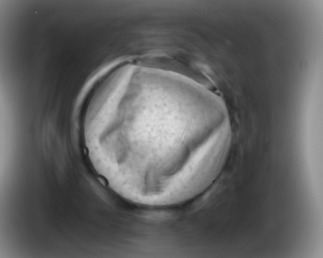 X0000084000342200703091910