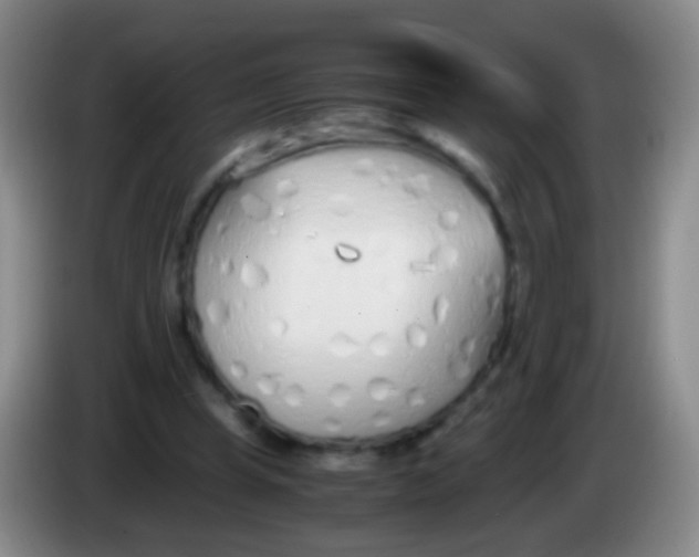 X0000084000345200703091910
