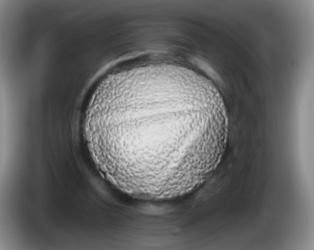 X0000084000346200703091910