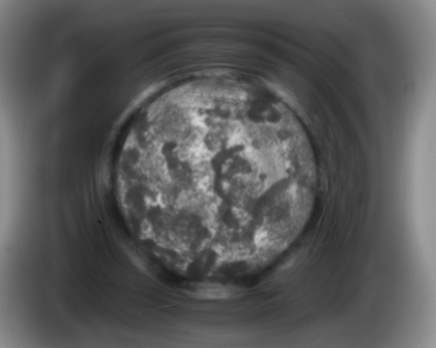 X0000084000347200703091910