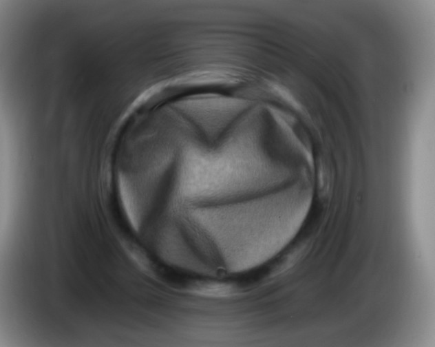 X0000084000348200703091910