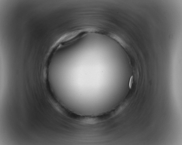 X0000084000350200703091910