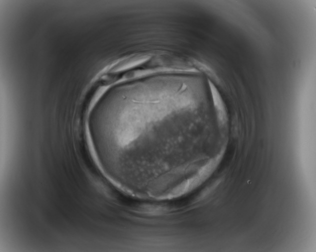 X0000084000351200703091910