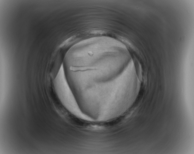 X0000084000352200703091911