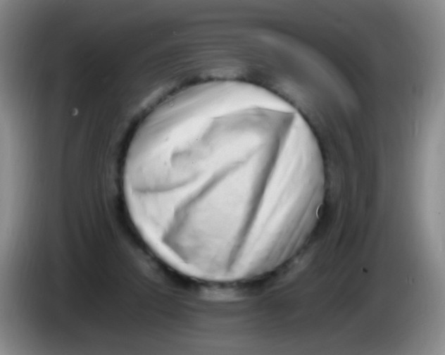 X0000084000354200703091911