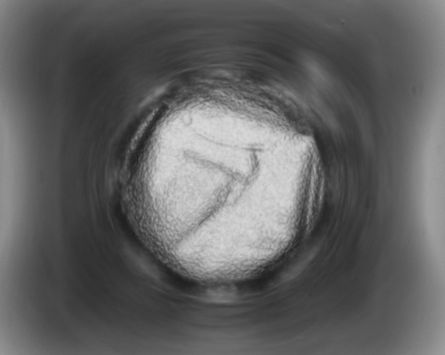 X0000084000355200703091911
