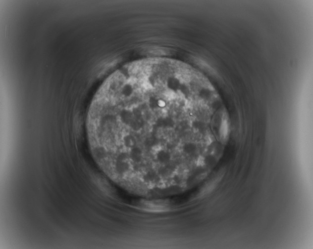 X0000084000359200703091911