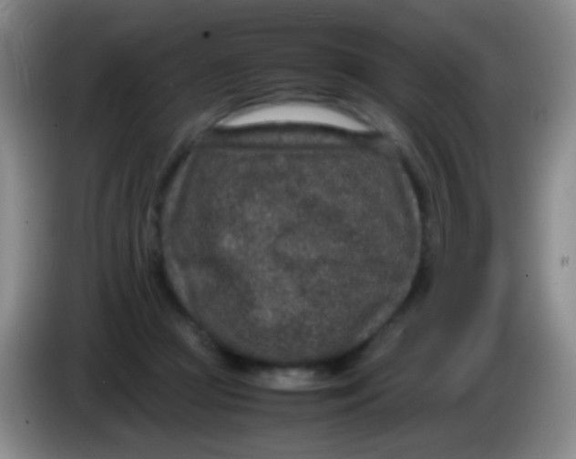 X0000084000361200703091911
