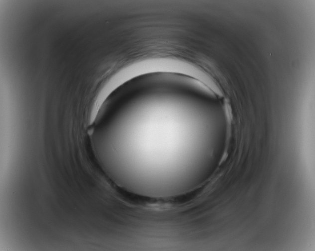 X0000084000362200703091911