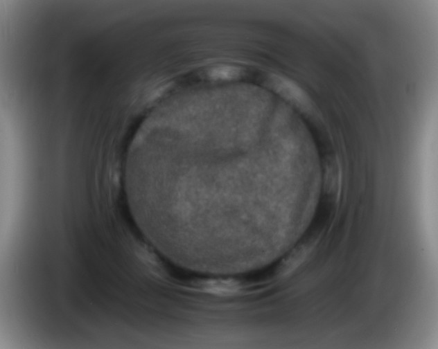 X0000084000363200703091911
