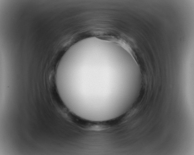 X0000084000364200703091911