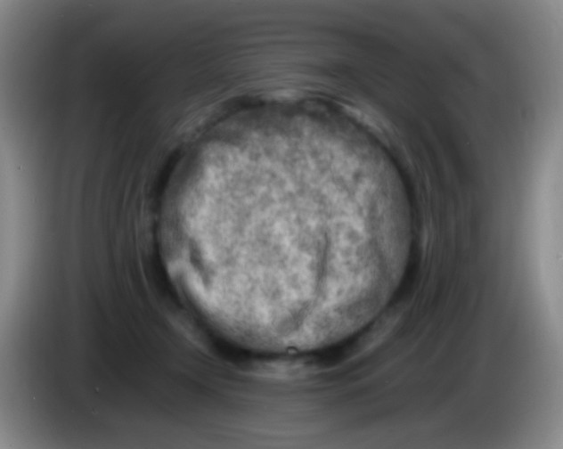 X0000084000366200703091911